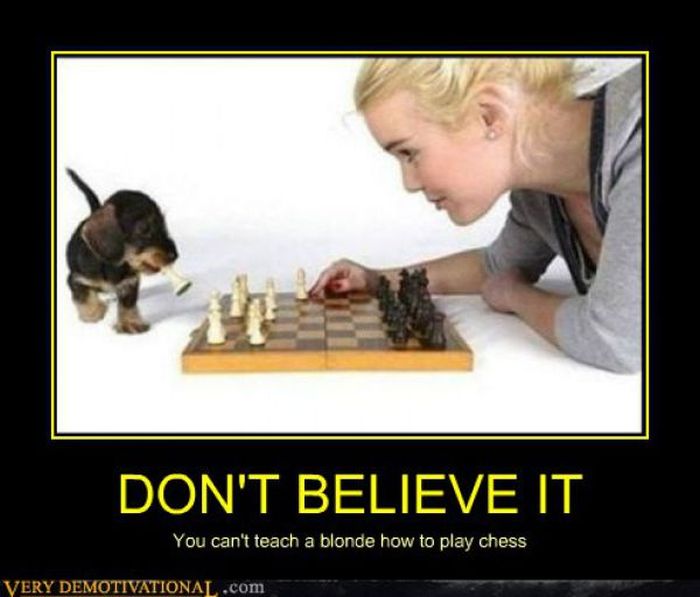 Funny Demotivational Posters (32 pics)
