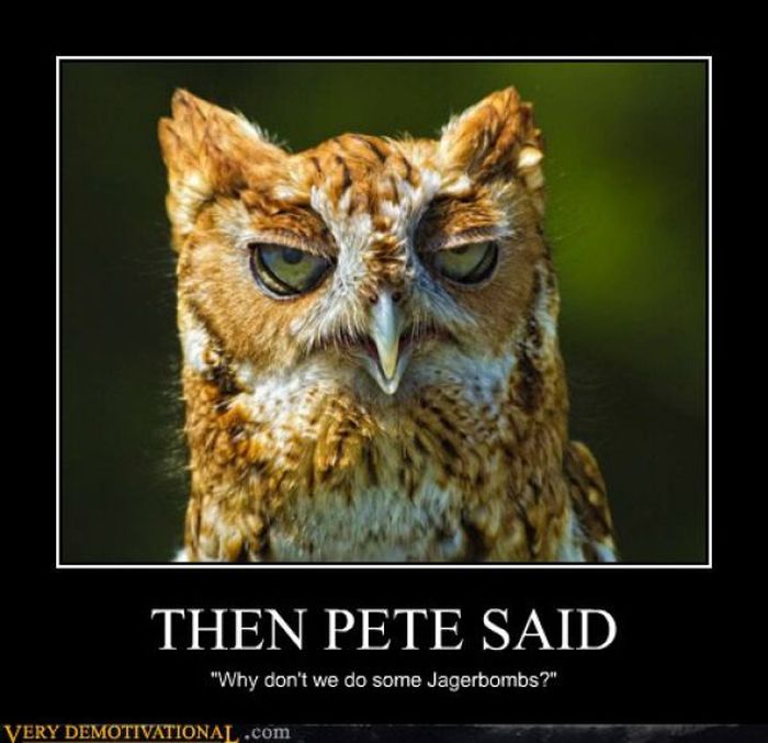 Funny Demotivational Posters (32 pics)