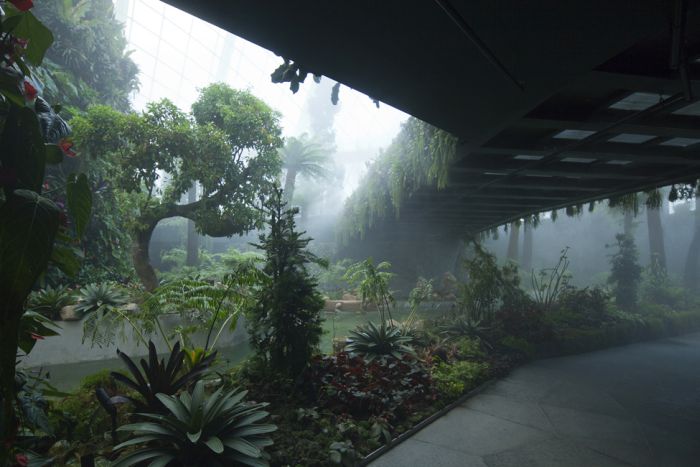Four Seasons Winter Garden in Singapore (14 pics)