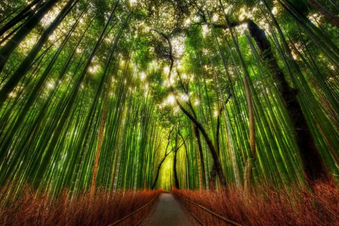 Our Planet (43 pics)