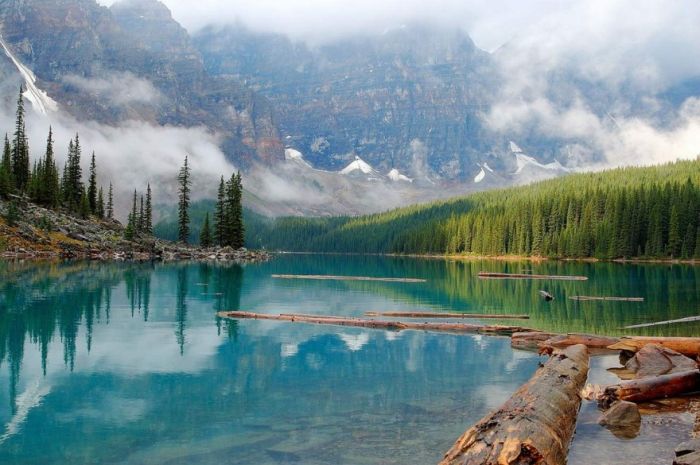 Our Planet (43 pics)