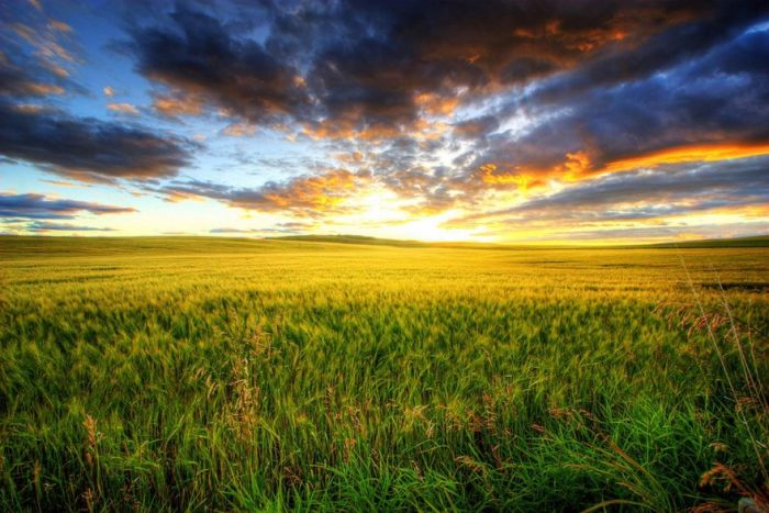 Our Planet (43 pics)