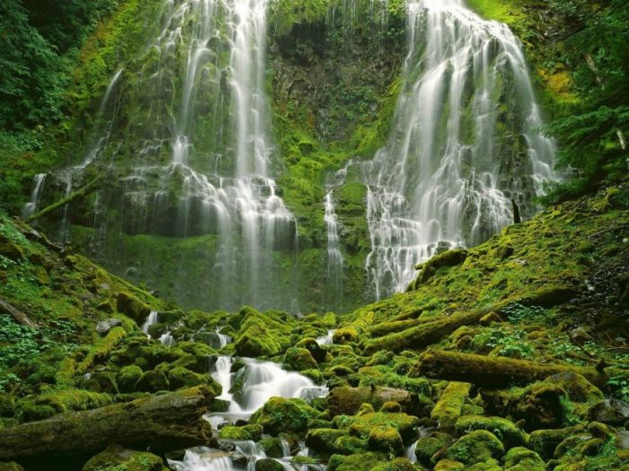 Our Planet (43 pics)