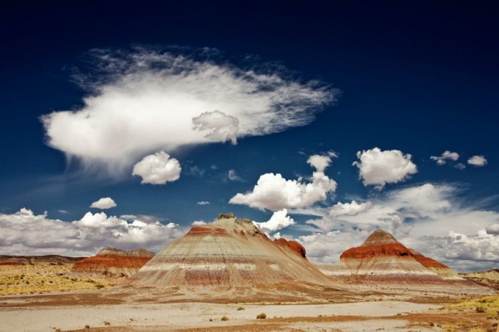 Our Planet (43 pics)