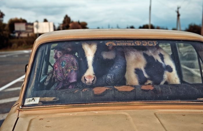 Acid Picdump (122 pics)
