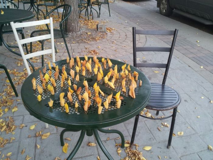 Acid Picdump (122 pics)