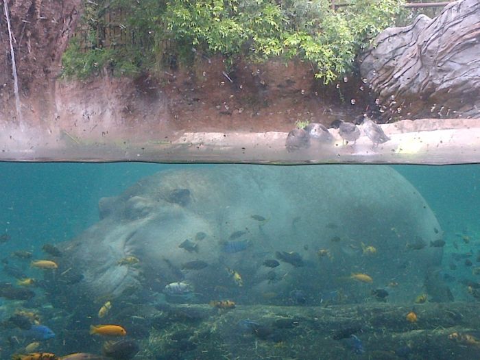 Acid Picdump (122 pics)