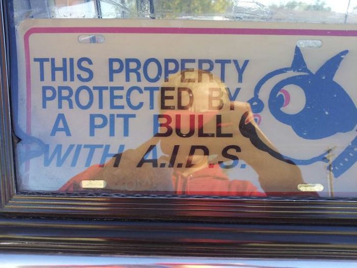 Acid Picdump (122 pics)