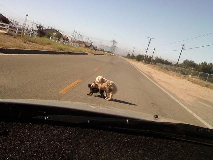 Acid Picdump (122 pics)