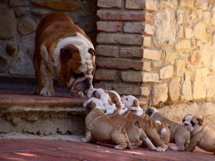 Acid Picdump (122 pics)