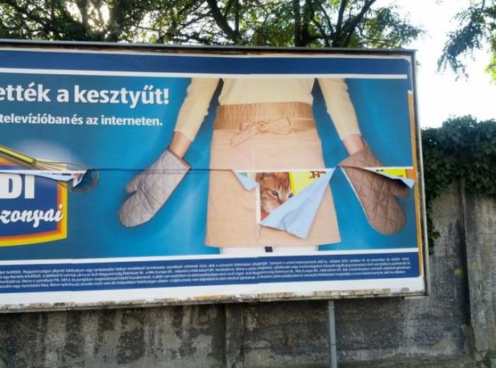 Acid Picdump (122 pics)
