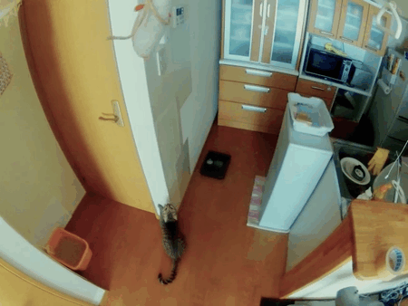 Acid Gifdump (16 gifs)