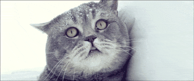 Acid Gifdump (16 gifs)
