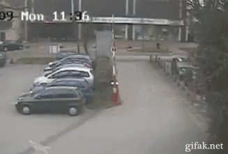 Acid Gifdump (16 gifs)