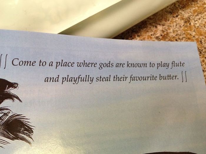 I Have So Many Questions (31 pics)