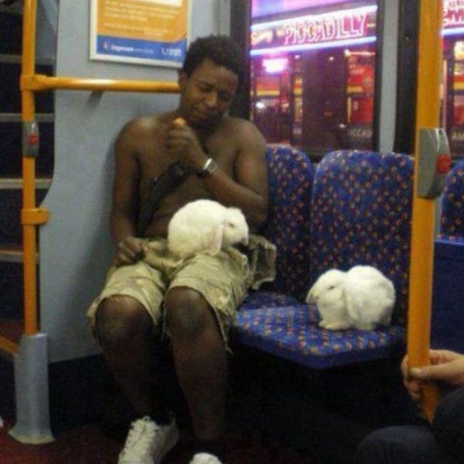 I Have So Many Questions (31 pics)