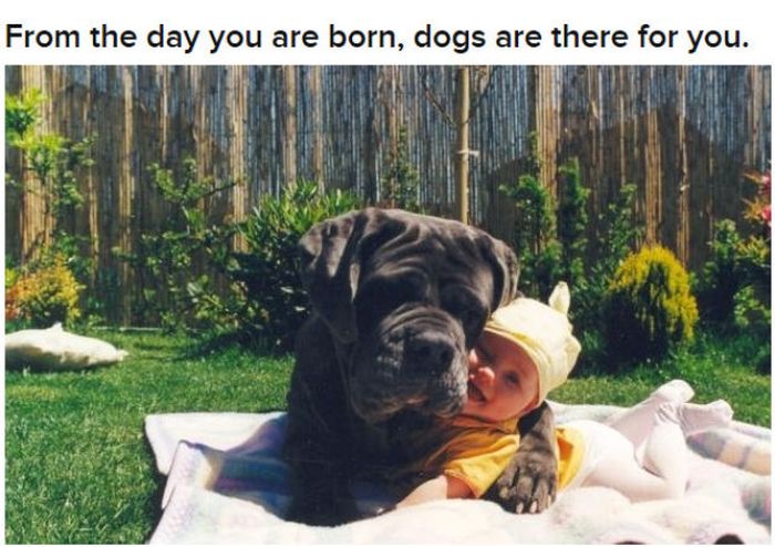 Why Dog Is Man's Best Friend (32 pics)