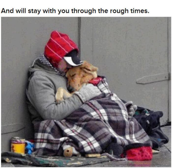Why Dog Is Man's Best Friend (32 pics)