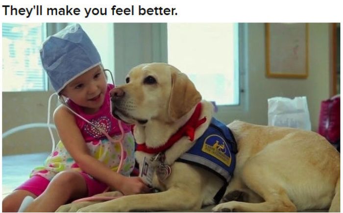 Why Dog Is Man's Best Friend (32 pics)