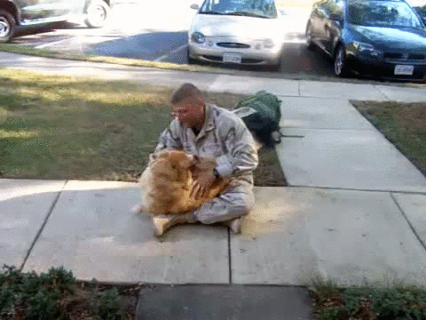 Why Dog Is Man's Best Friend (32 pics)