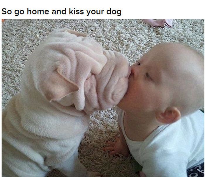 Why Dog Is Man's Best Friend (32 pics)
