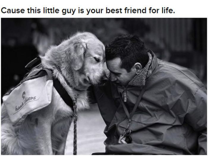 Why Dog Is Man's Best Friend (32 pics)