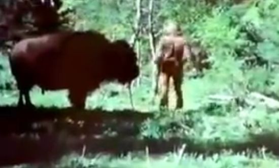 This Brutal Buffalo Rider is Definitely Cooler Than Chuck Norris