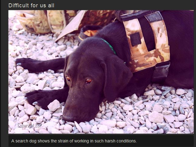 The War in Afghanistan (37 pics)