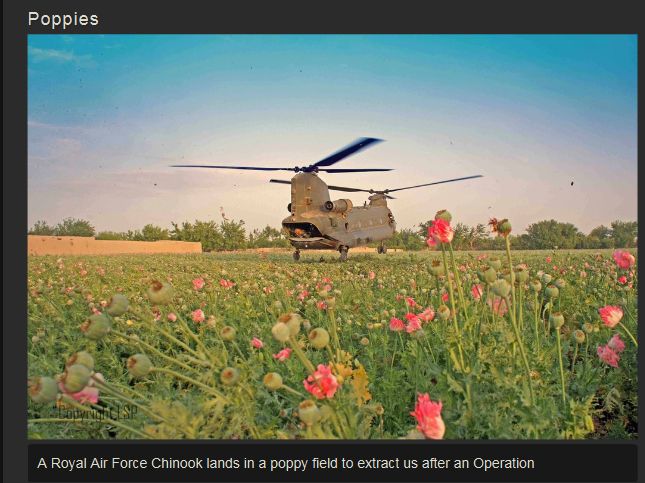 The War in Afghanistan (37 pics)