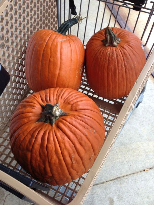 DIY Fright Night Pumpkin (28 pics)
