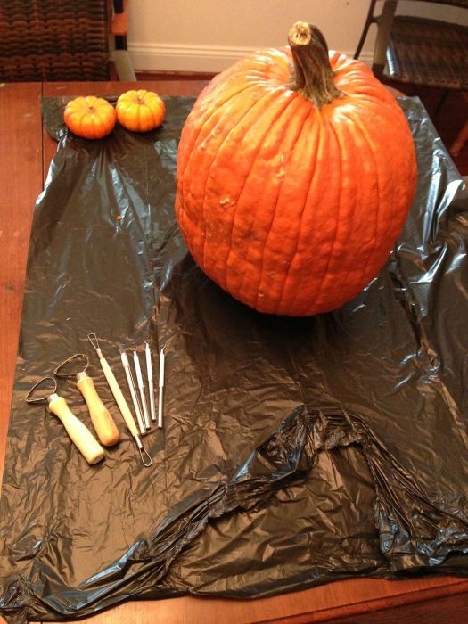 DIY Fright Night Pumpkin (28 pics)