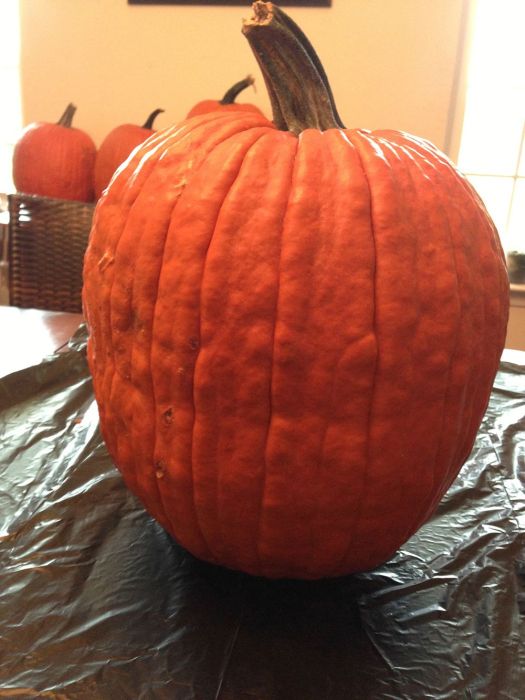 DIY Fright Night Pumpkin (28 pics)