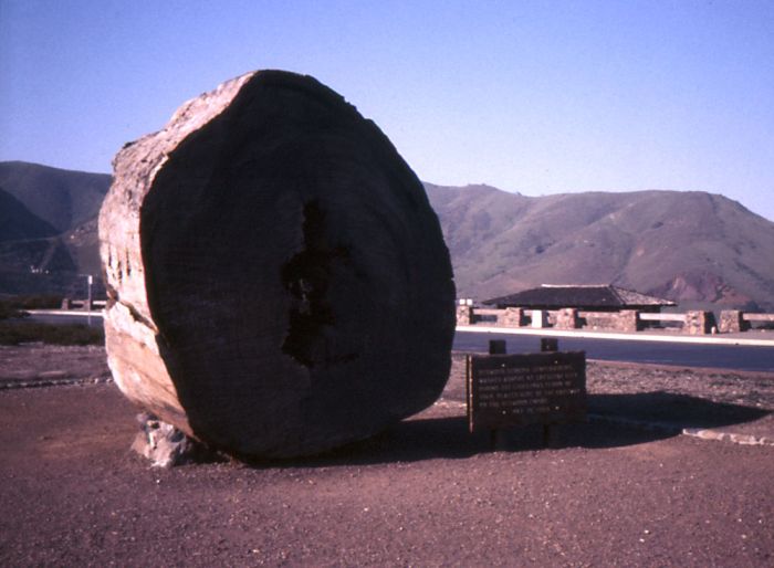 USA in 1967 (100 pics)