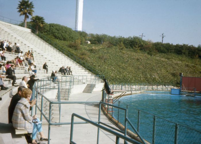 USA in 1967 (100 pics)