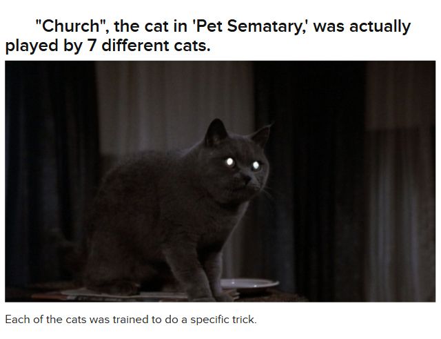 Interesting Facts About Horror Movies (33 pics)