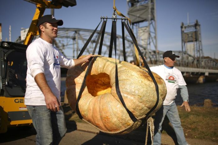 The Third Annual Pumpkin Regatta (11 pics)