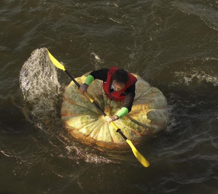 The Third Annual Pumpkin Regatta (11 pics)