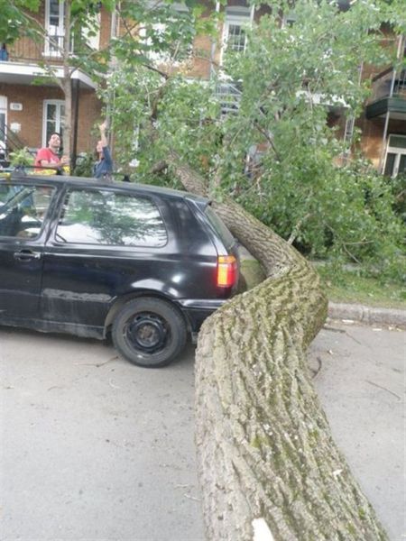 Lucky People and Animals (42 pics)