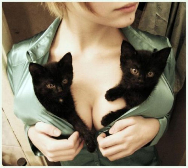 Lucky People and Animals (42 pics)