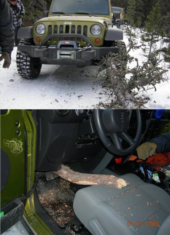 Lucky People and Animals (42 pics)