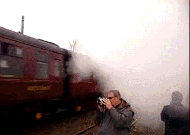 Lucky People and Animals (42 pics)
