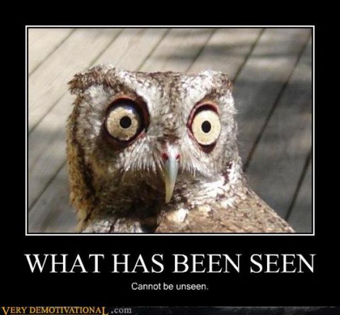 Funny Demotivational Posters (32 pics)