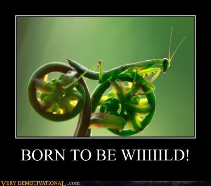 Funny Demotivational Posters (32 pics)