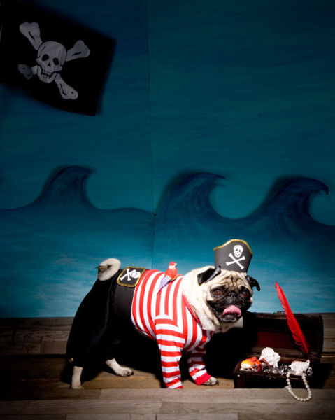 DIY Halloween Costumes (58 pics)