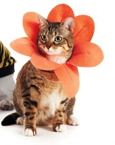 DIY Halloween Costumes (58 pics)