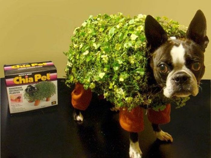 DIY Halloween Costumes (58 pics)