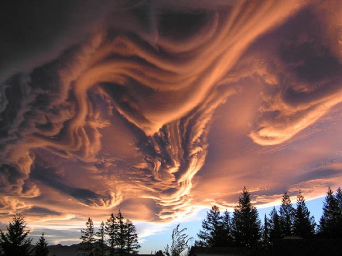 Beautiful Clouds (54 pics)