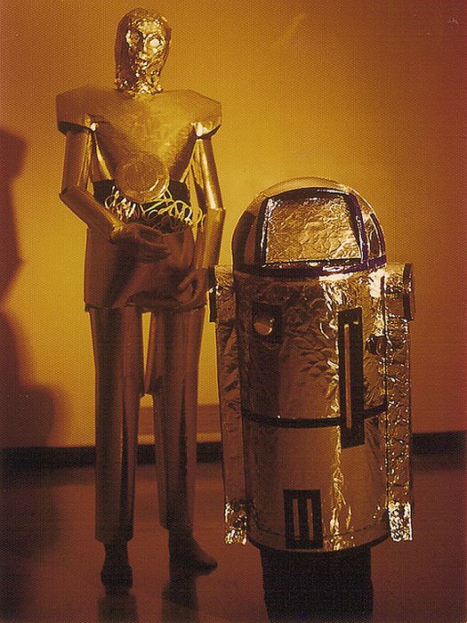 Vintage 1970's Homemade STAR WARS Costumes (18 pics)