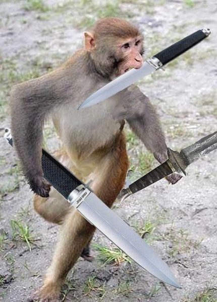 Swords Replaced With Bananas (24 pics)