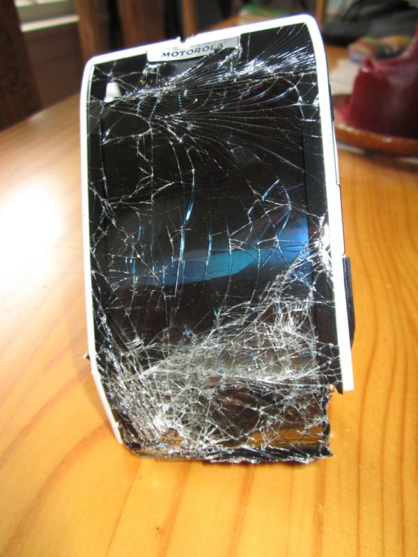 What Happens When Your Bike Eats Your Phone (4 pics)